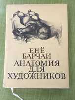 Анатомия для художников