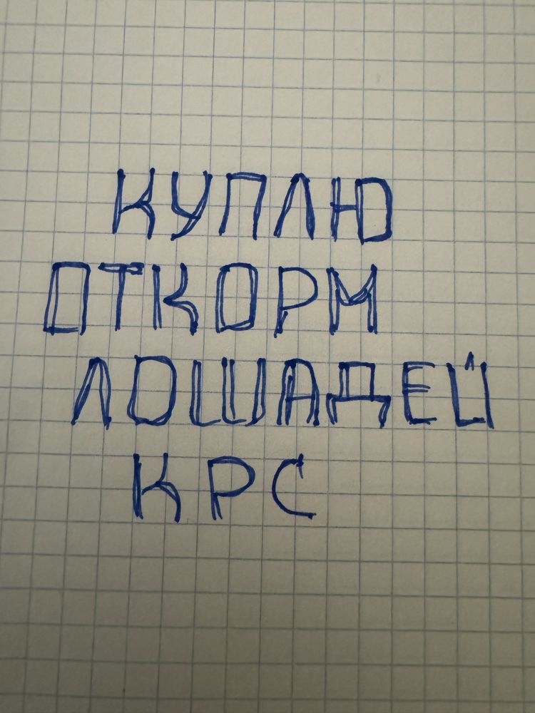 Лошади конина крс.
