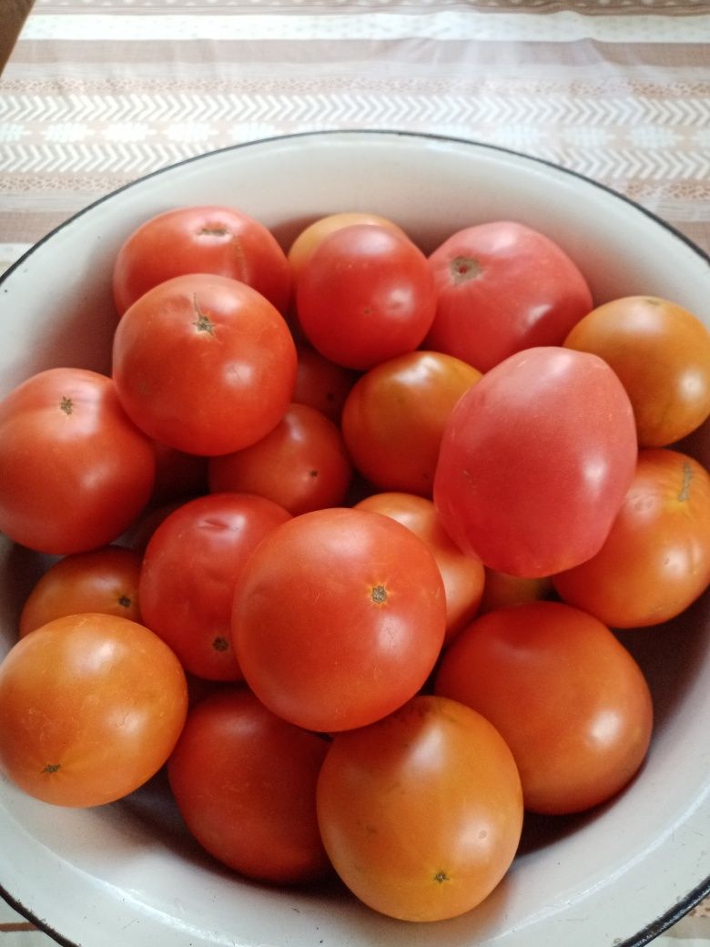 Продам рецептуры, раскладки на салаты, оливье, хе морковное, и т. д.