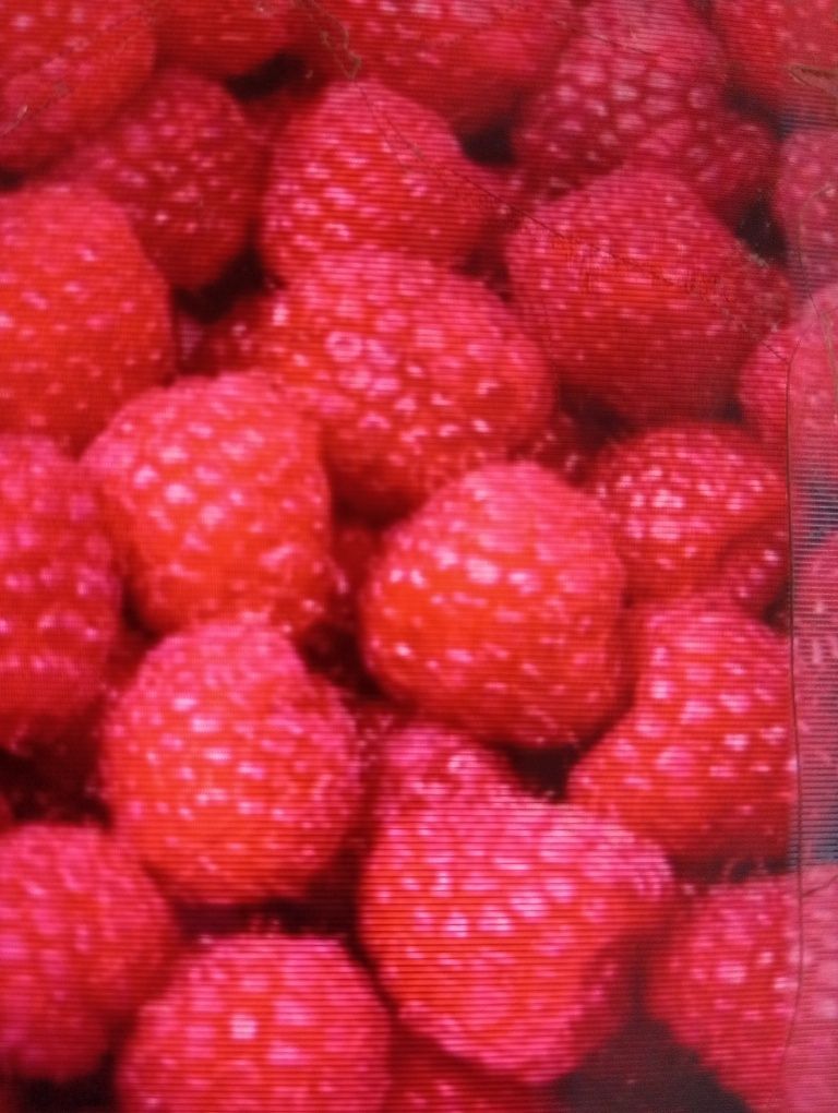 Продам малину дачную
