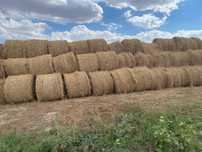 Продам солому в рулоннах и тюках из под ячменя