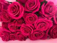 продам букет сегодняшняя Romantic Роза 21 штук размер 1,5
