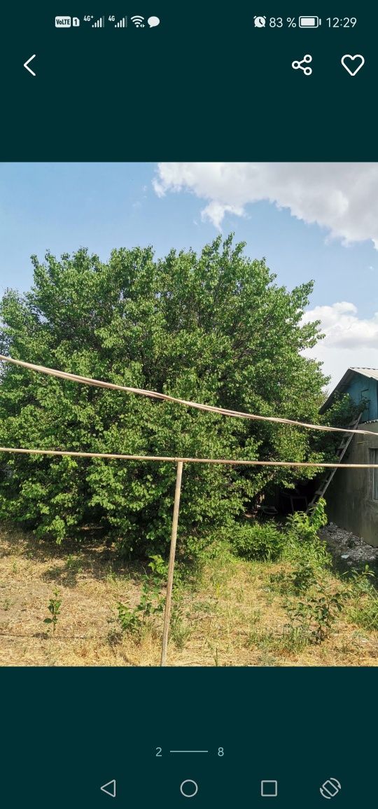 Продажа недвижомости