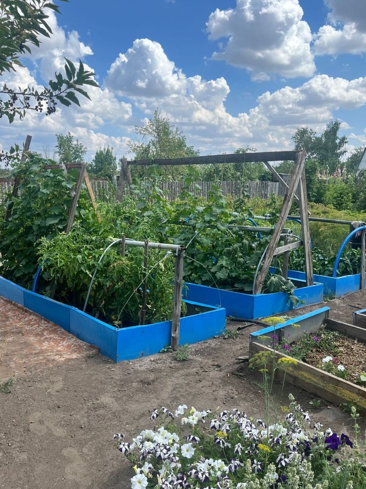 Продаю Дачу на Оптимисте
