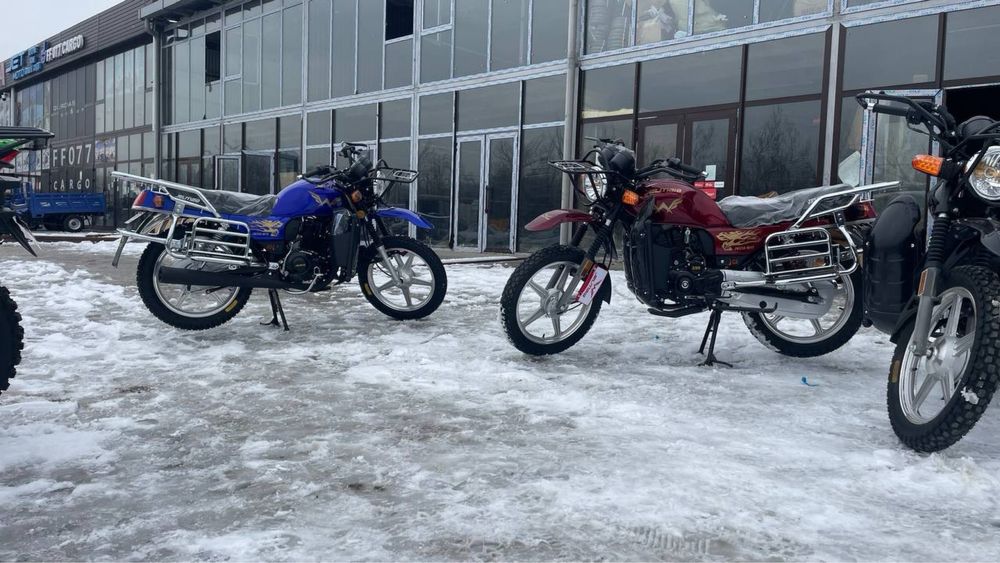Желмая 300ку б М18 Қара айғыр Jelmaia