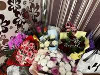 Продам красивые,свежие светошки)Цены с 3500 по 6000