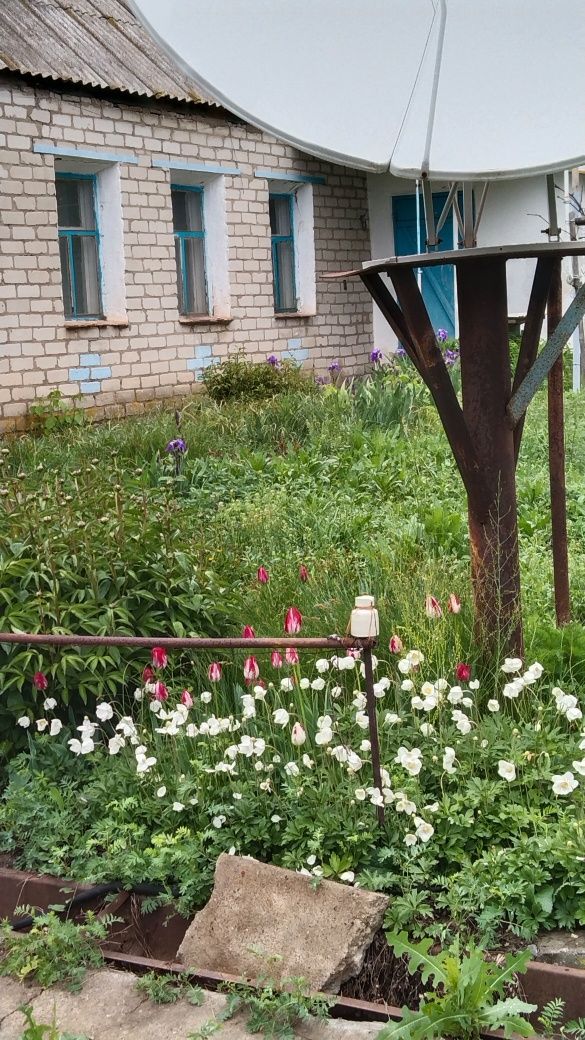 Продам дом в районе Селекционный