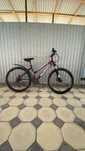 Велик Greenway sport