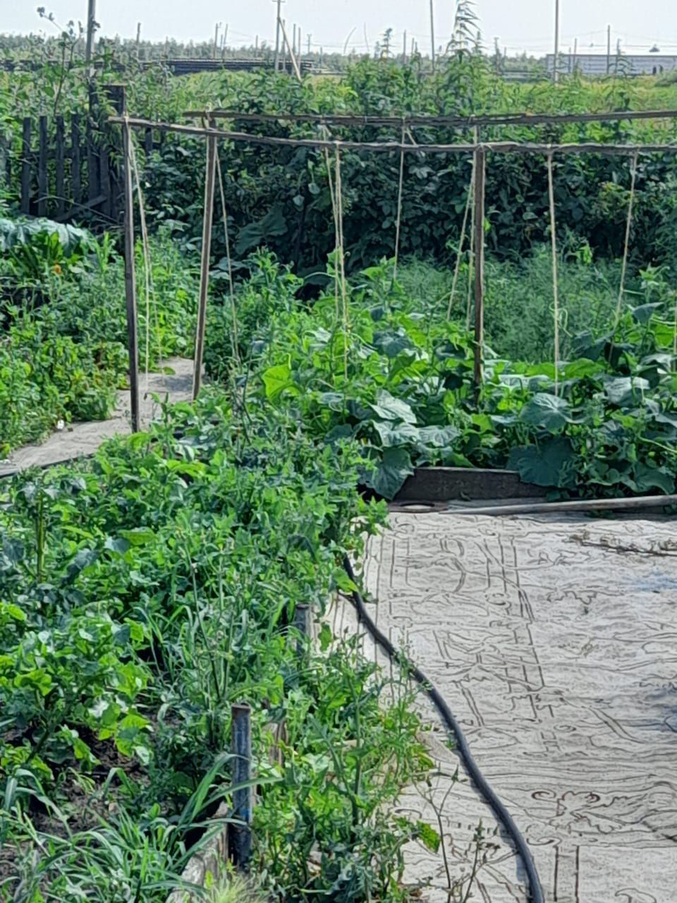 Продам дом в рабочем