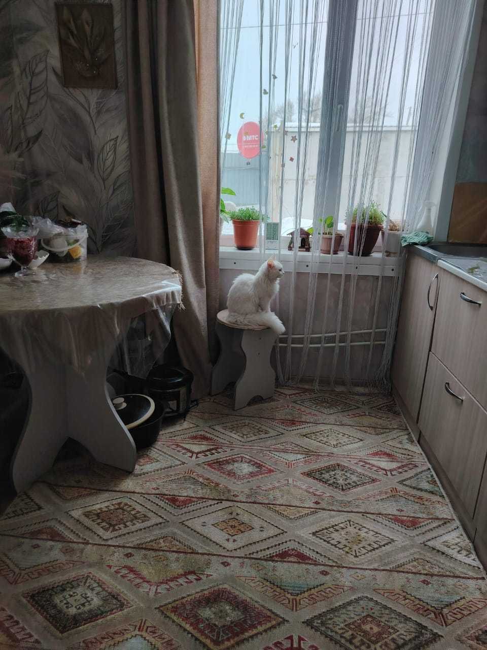 Обмен дома в Беловке на квартиру в Аксу