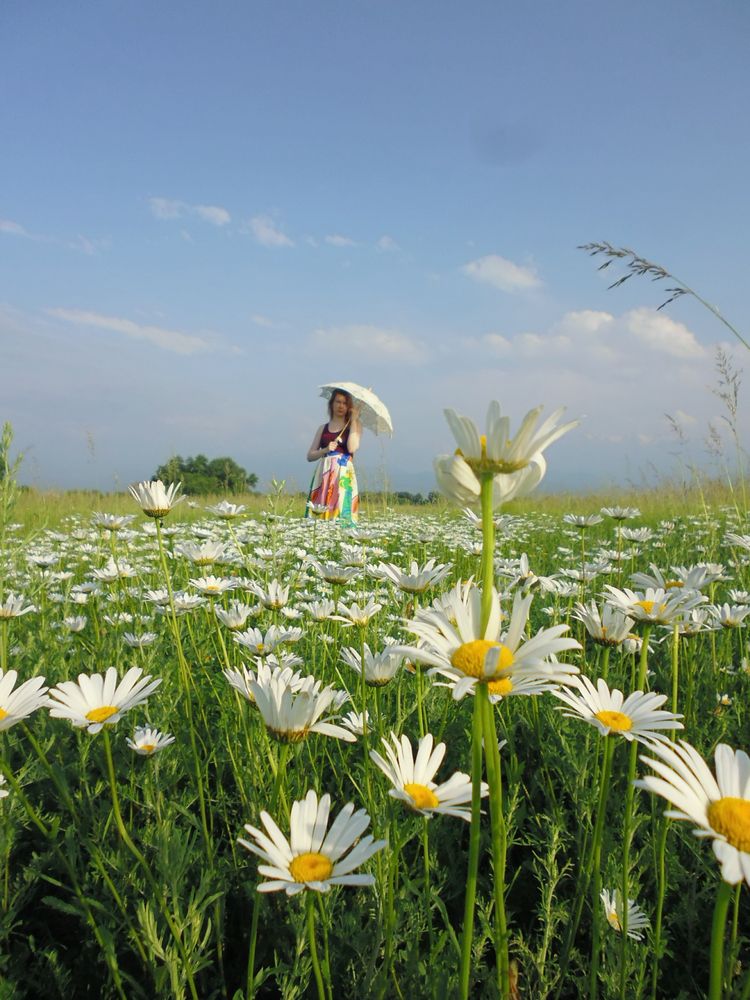 Продам люкс мыльницу LUMIX цифровой фотоаппарат