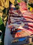 Продам кобылу с откорма