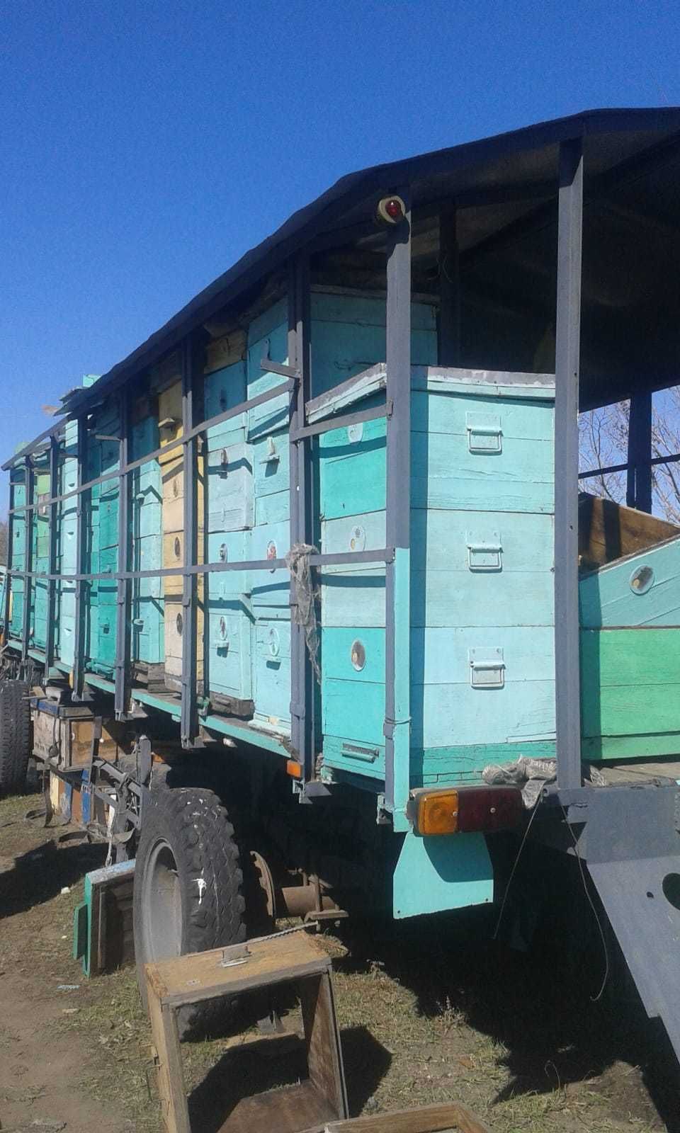 Товары для пчеловода