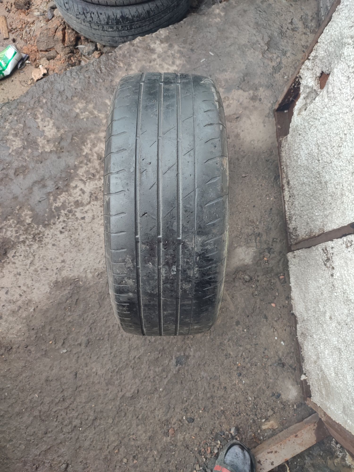 Шина безкамерка размер 205/55 R16