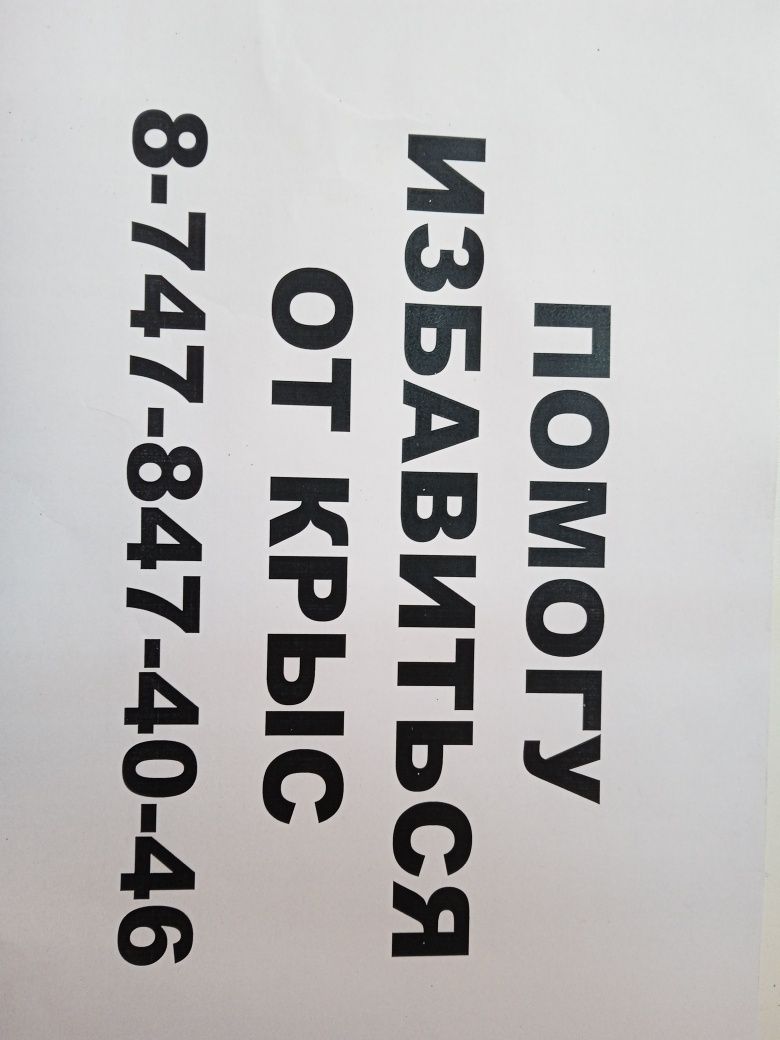 Избавляясь от крыс