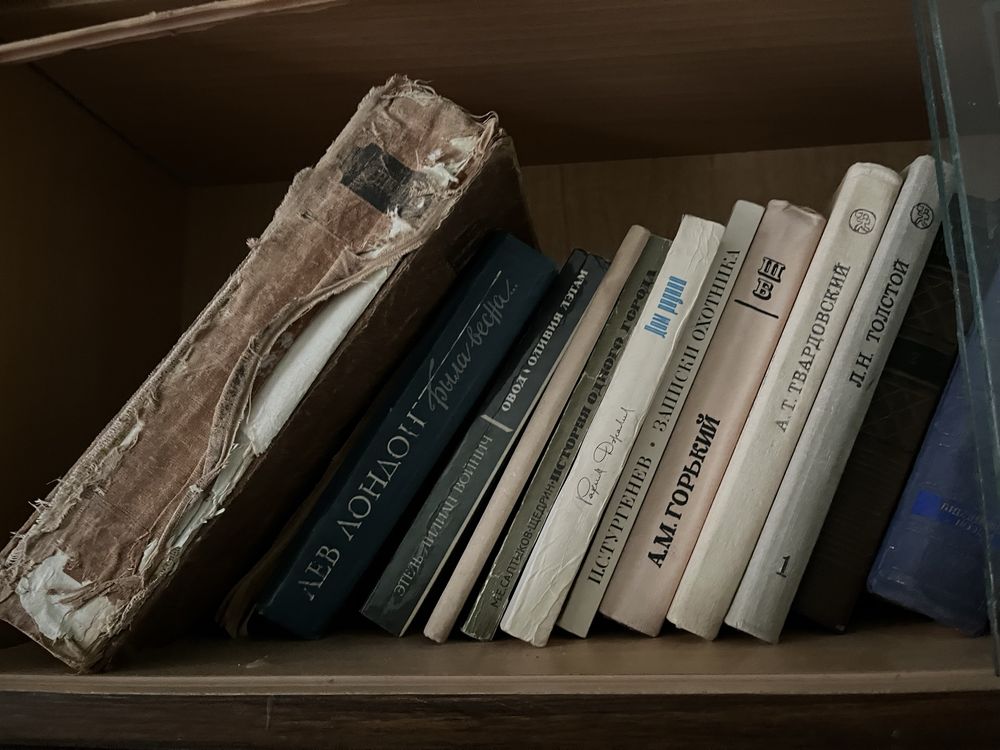 книги толстой, тургенев и тд