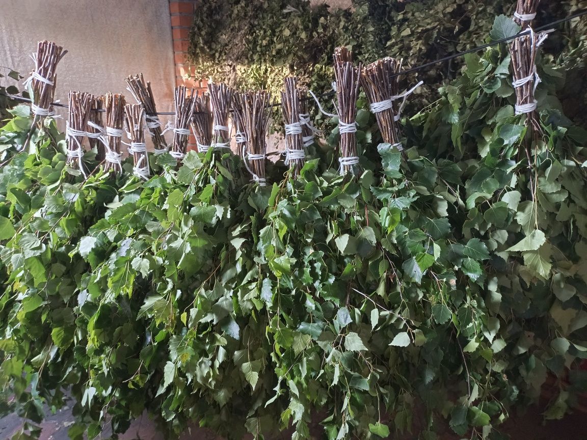 Продам банные веники