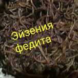 Черви на рыбалку