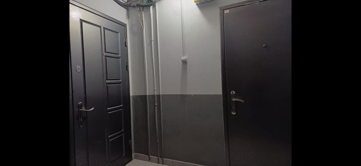 Двери железные заготовки