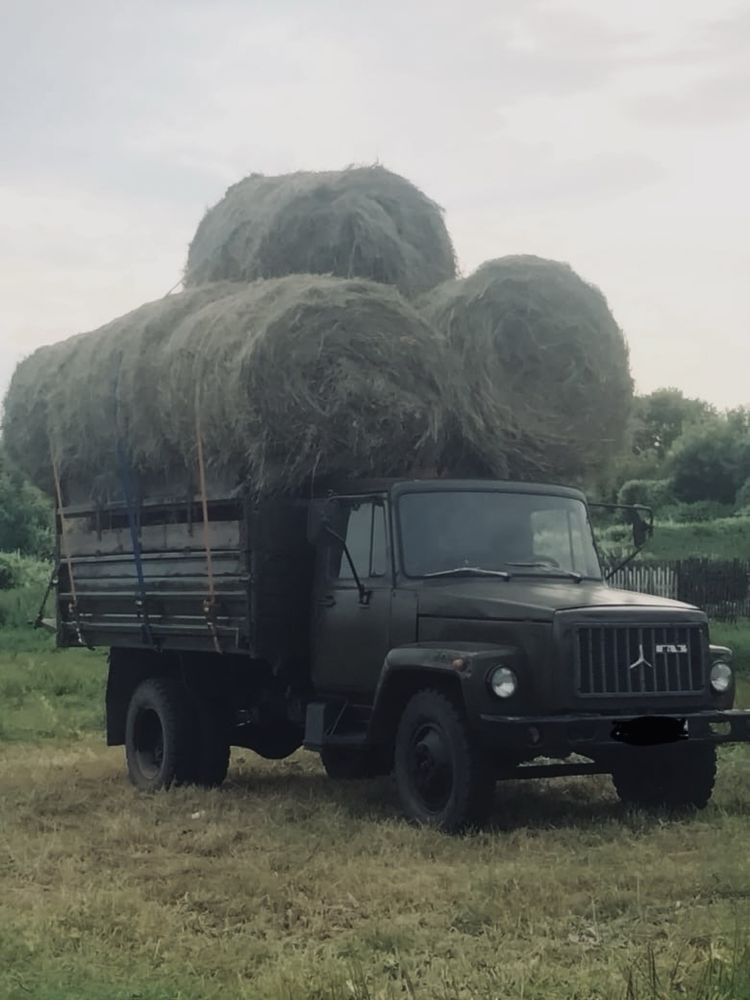 Продам сено «луговое разнотравие»