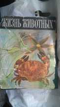 Продам книгу. Жизнь животных. Издание 1968г. Цена окончательная