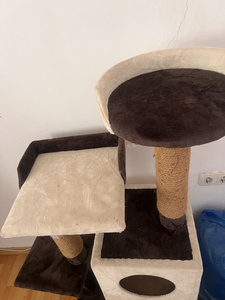 Домик для кошки котят