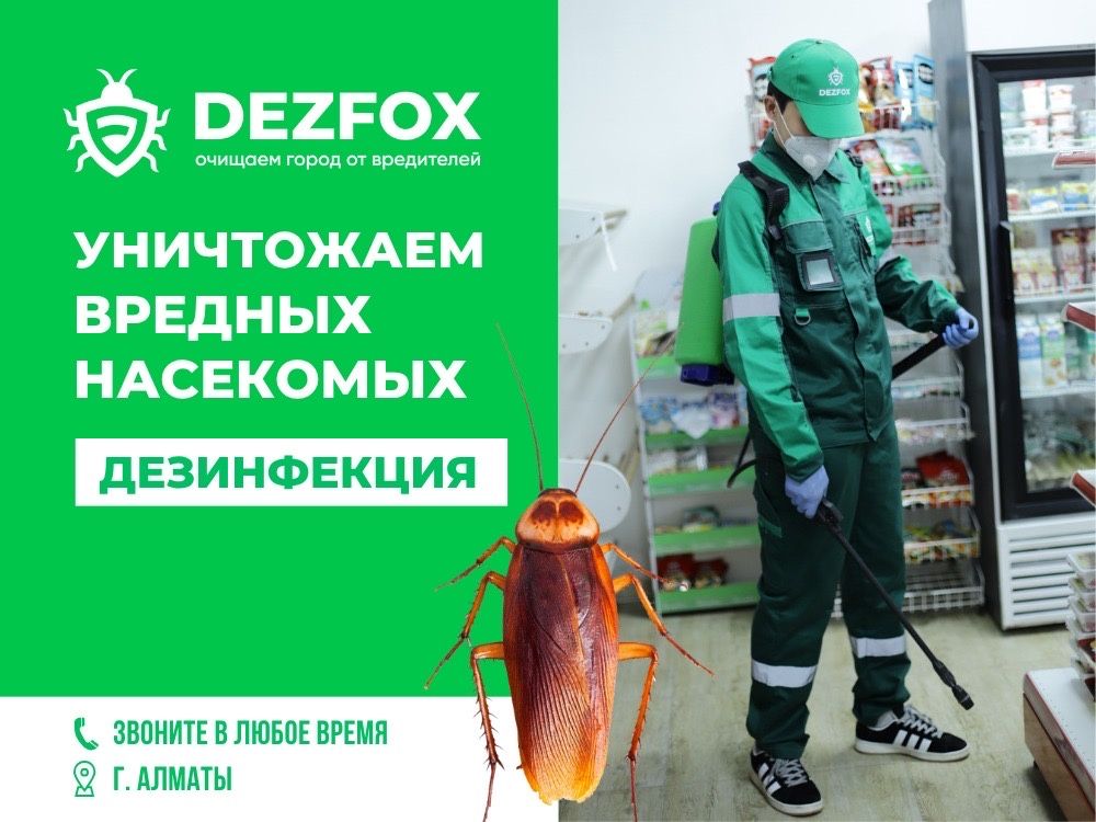 ДЕЗИНФЕКЦИЯ В АЛМАТЫ Дизенфекция От Тараканов Наскомых Есть Гарантия