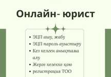 Бухгалтер қызметтері, онлайн юрист