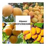 Плодовые саженцы и цветы