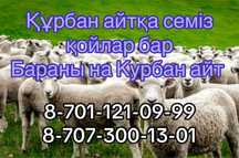 Қой сатамыз Құрбандыққа