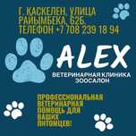 Ветеринарная клиника в городе Каскелен