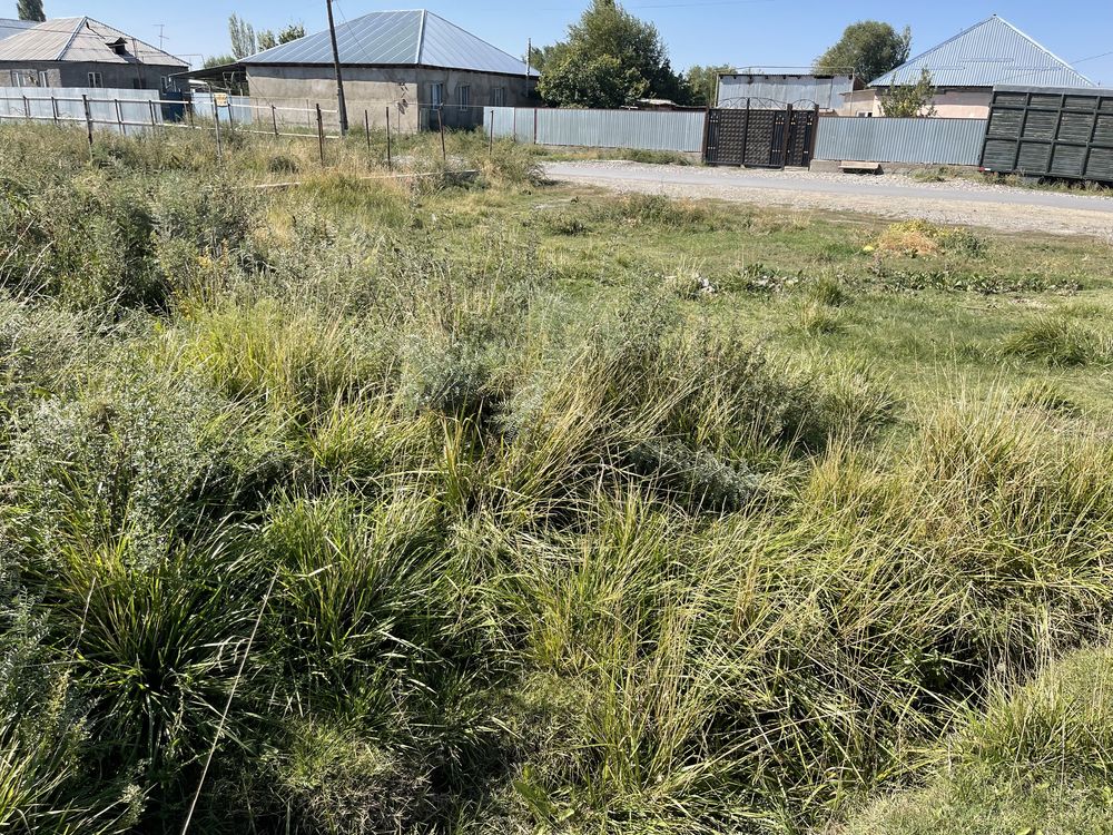 Продам два участка в село Гродиково