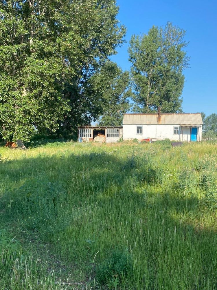 Продам фазенду 48 га ,