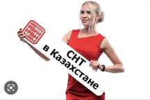 Снт, смр, дозвол
