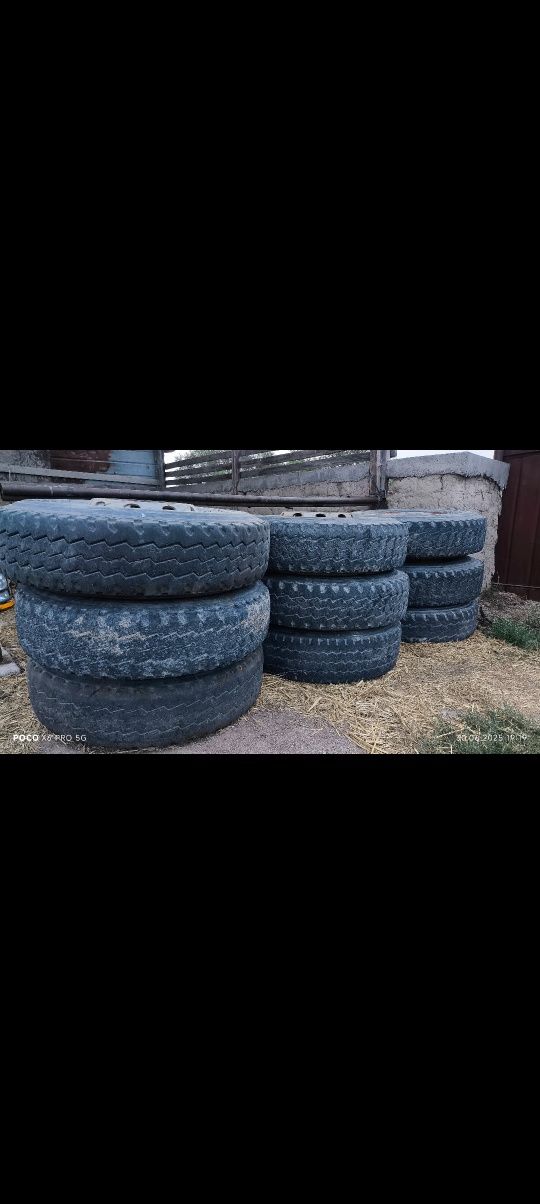 Колёса продам, надутые на Howo,  Шахман