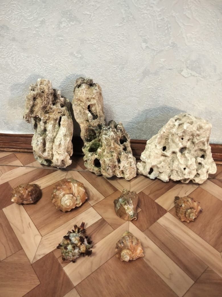 Продам декоративные камни ракушки для аквариума