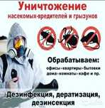 Дезинфекция тараканы клопы муравьев блох клещей насикомых