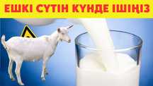 Ешкі сүті сатылады