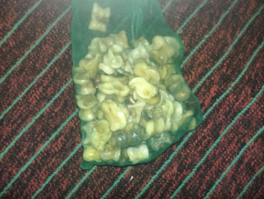 Сәлеметсізбе мына асық сатылады