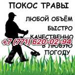 Покос травы тримером