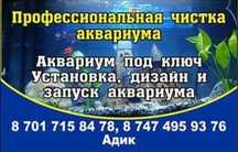 Аквариума,аквариумы
