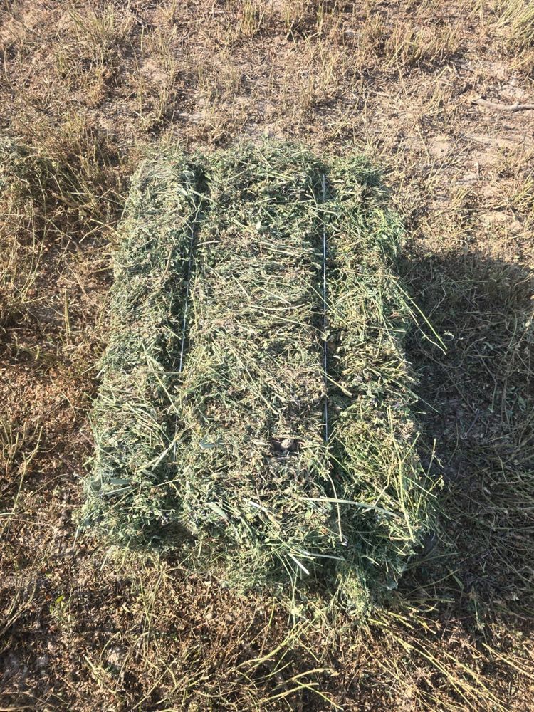 Жоңышқа сатылады