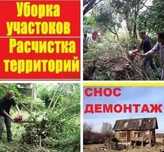 Кронирование,подрезка,кустарники и ТД, Спилим аварийное дерево!