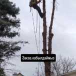 Спилим дерево любой сложности