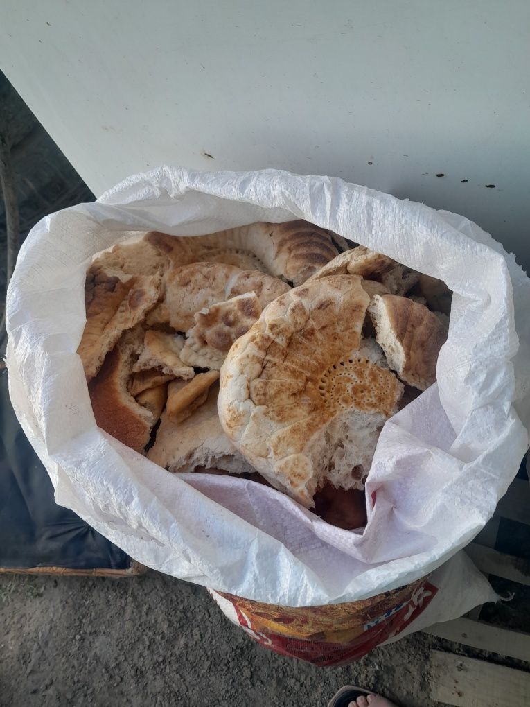 Каткан нан сатылады