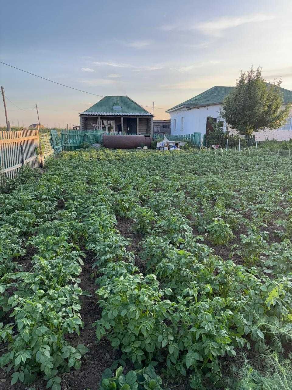 Продам или обменяю благоустроенный дом в пригороде Астаны