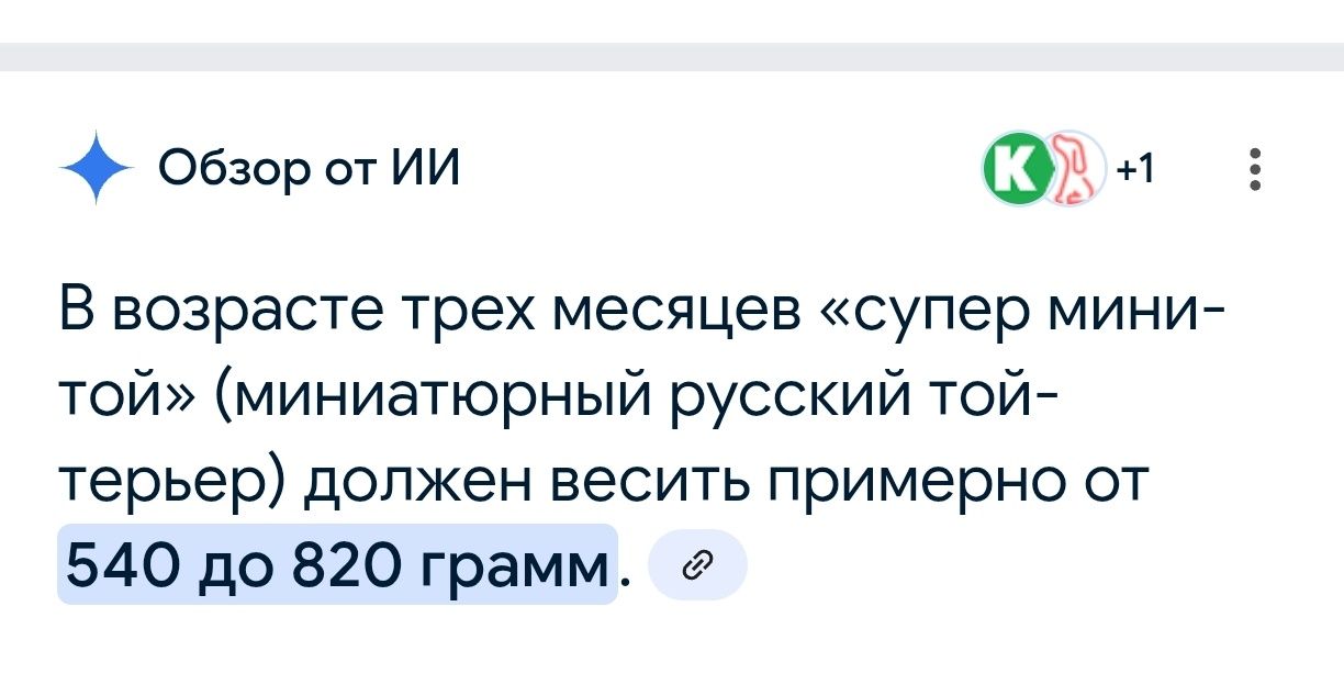 Продаются щенки породы той-терьер. В категории Super Mini.