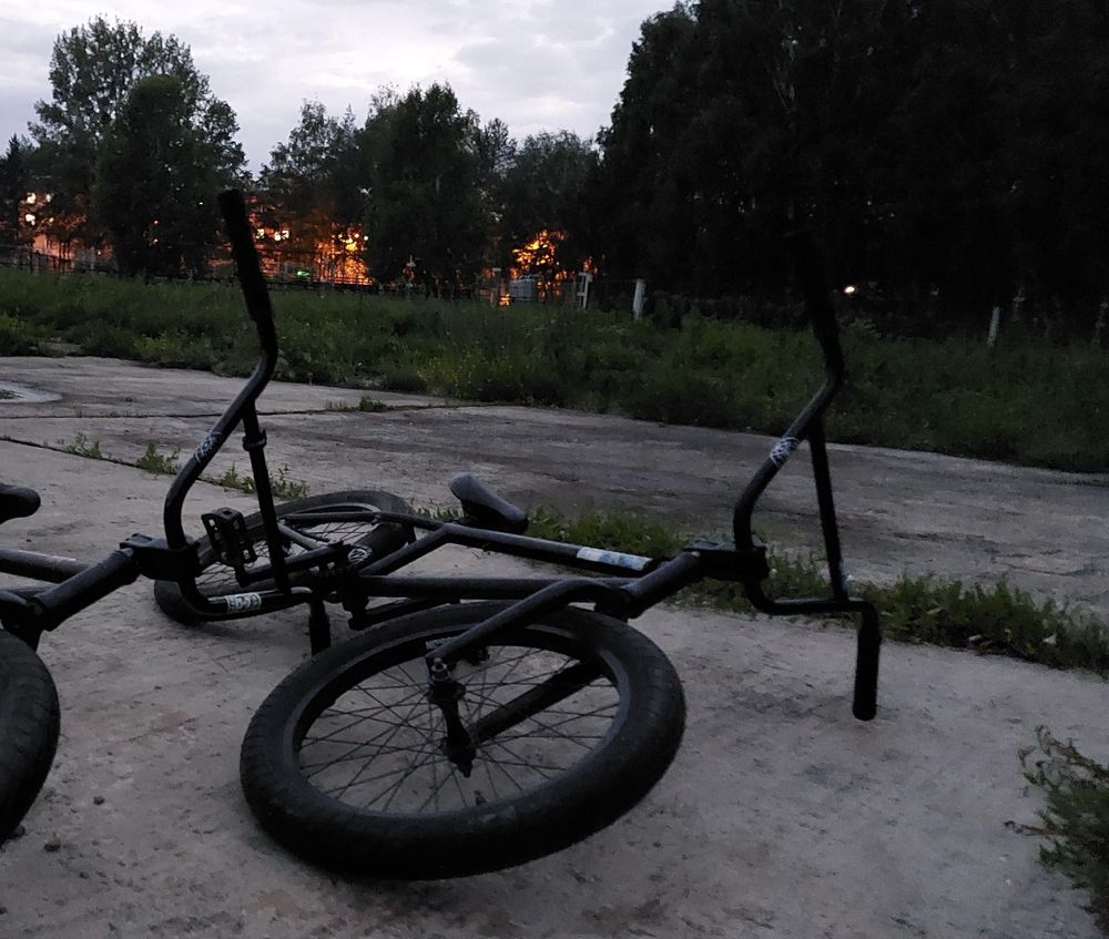 bmx king gap xl 2022