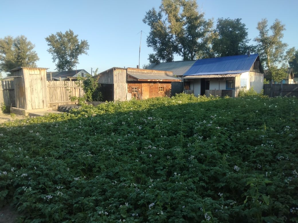 Продам дом, село Канонерка