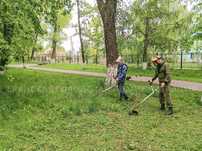 Покос травы любой сложности
